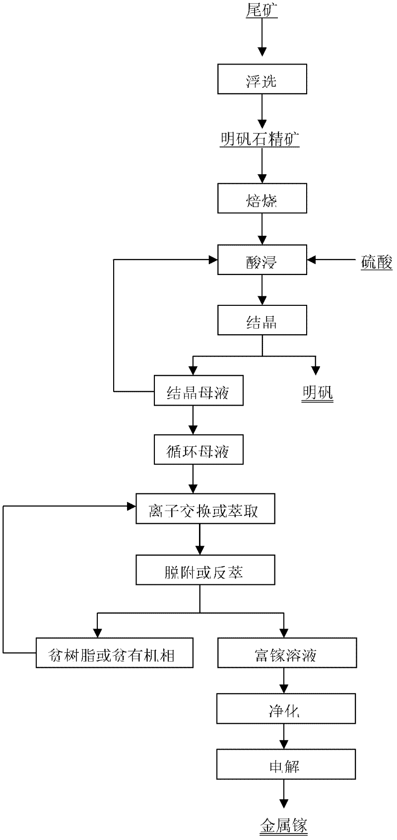 Method for recycling gallium in alunite concentrate