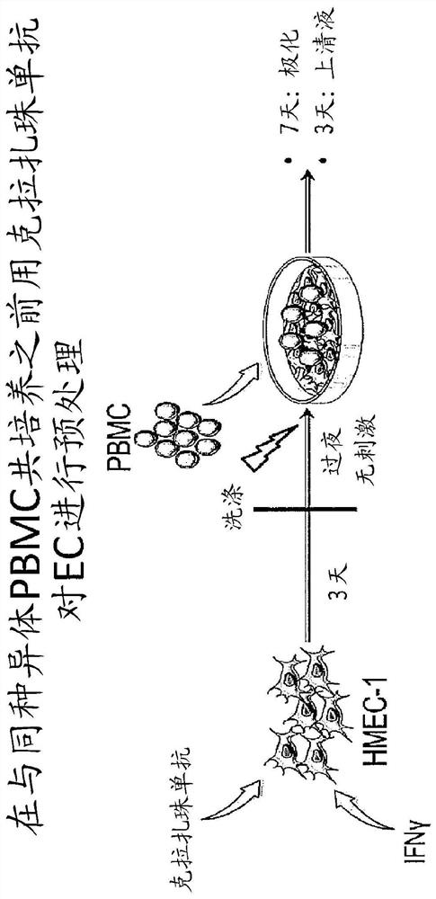 Use of Anti-il-6 antibody, e.g., clazakizumab for desensitization of solid organ transplant recipients and/or for preventing, stabilizing or reducing antibody mediated rejection (ABMR)