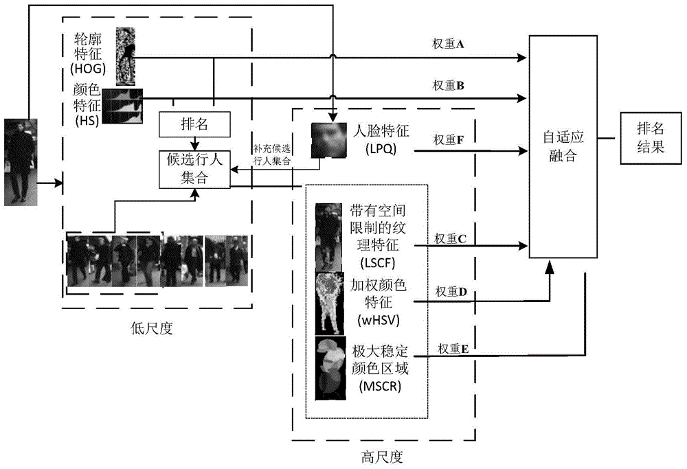 Resolution adaptive feature extracting and fusing for pedestrian re-identification method