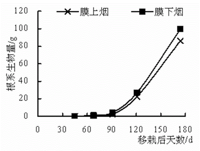 Flue-cured tobacco cultivation method fitting in with geographical characteristics of fen-flavor tobacco producing area