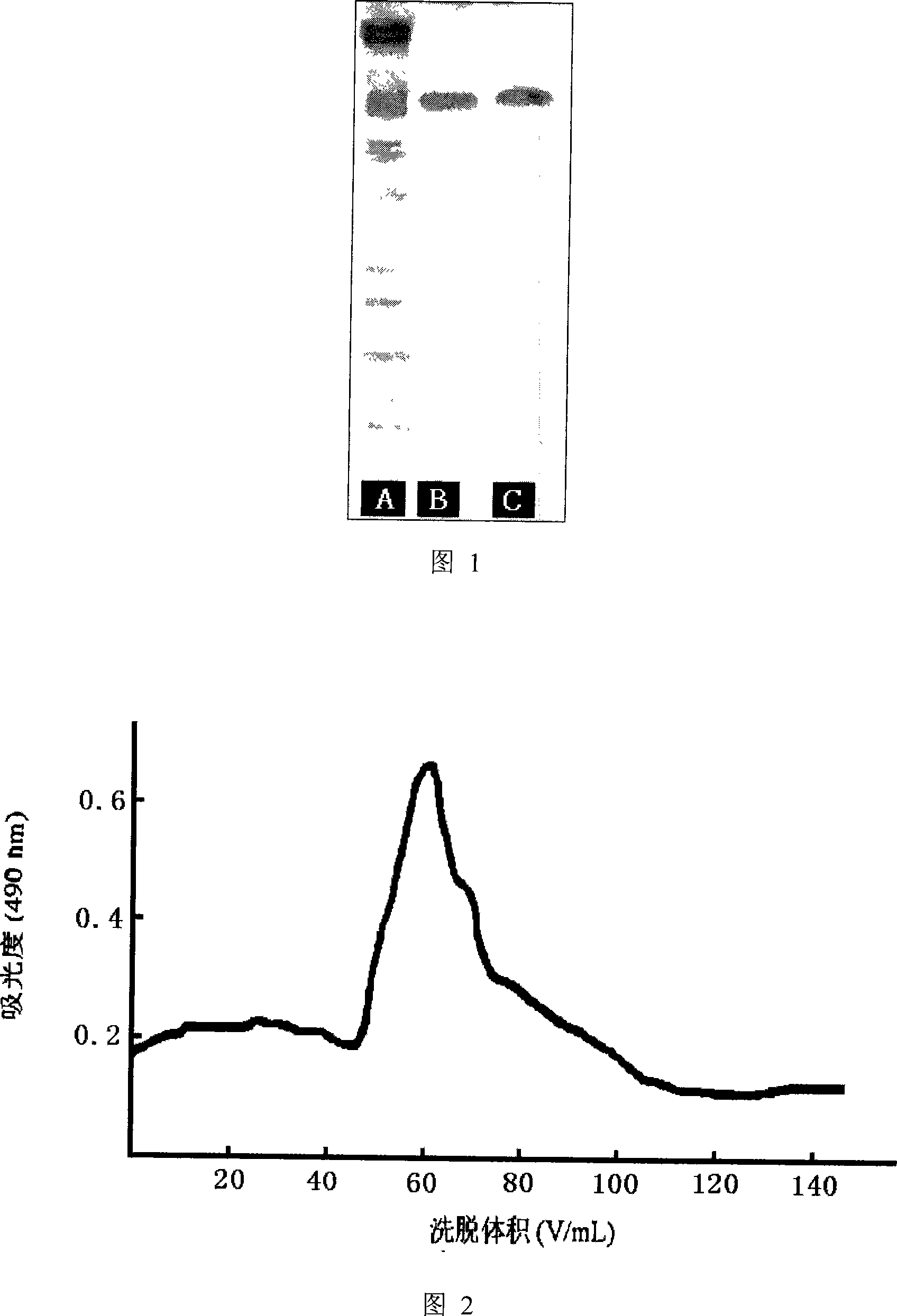 Method for preparing centipede polysaccharide protein composition with anti-tumor active and use