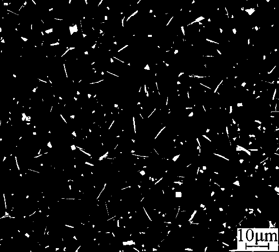 Preparation method for surface-strengthened Fe-W alloy