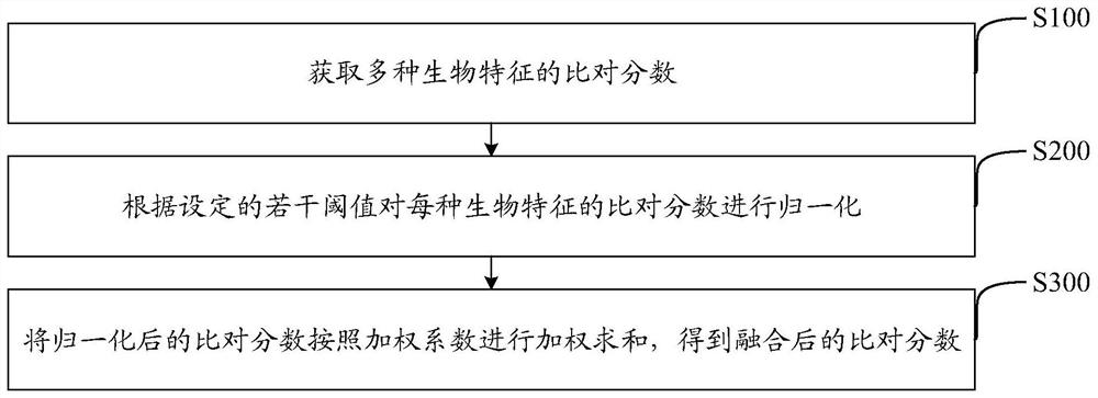 Comparison score fusion method and device for multi-modal biological recognition, medium and equipment