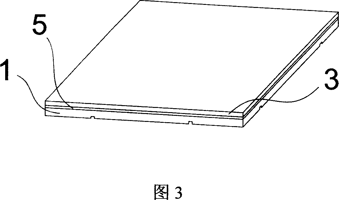 Wooden floor having height supporting base and carpet