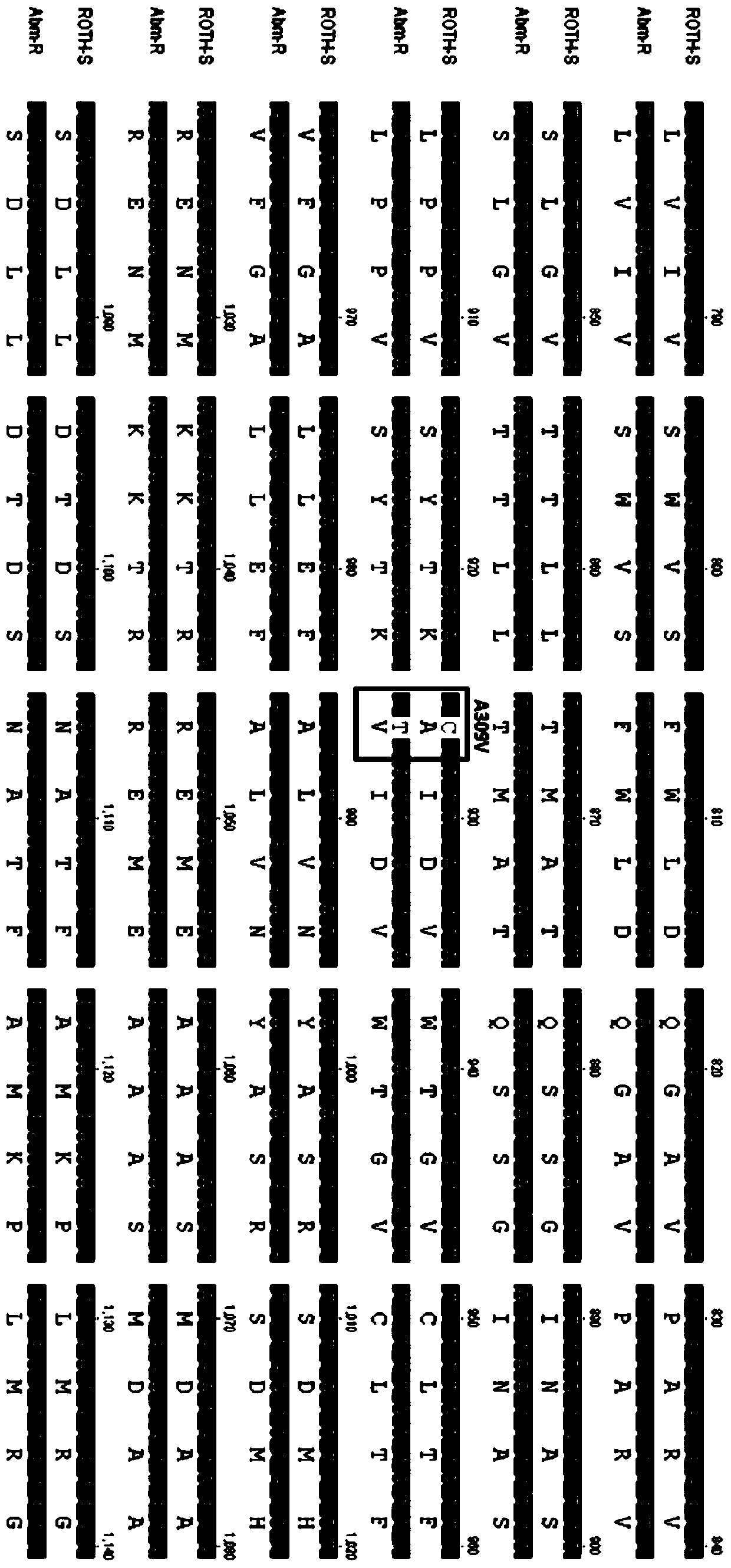 A Molecular Detection Method for Resistance of Plutella xylostella to Abamectin Targets