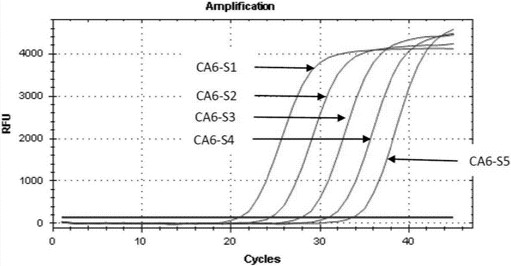 Coxsackie virus A6 type and A10 type combined detection kit and application of same