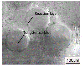 A kind of preparation method of particle reinforced metal matrix composite material