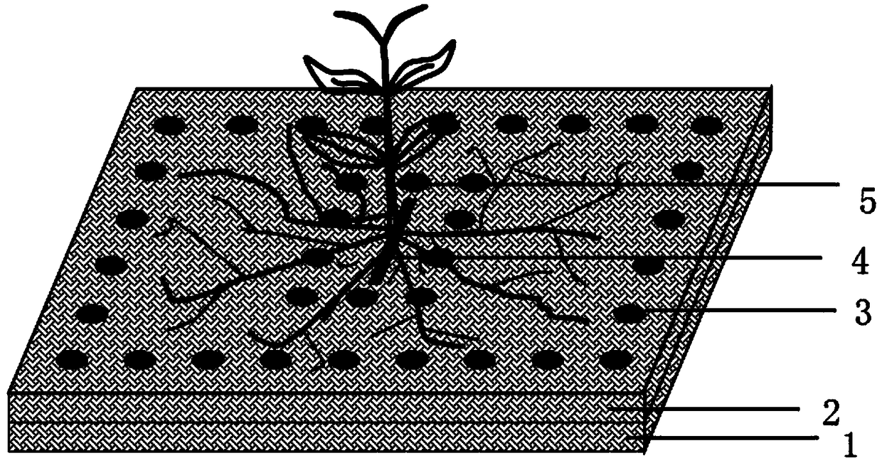 Submerged plant planting blanket and preparation method thereof