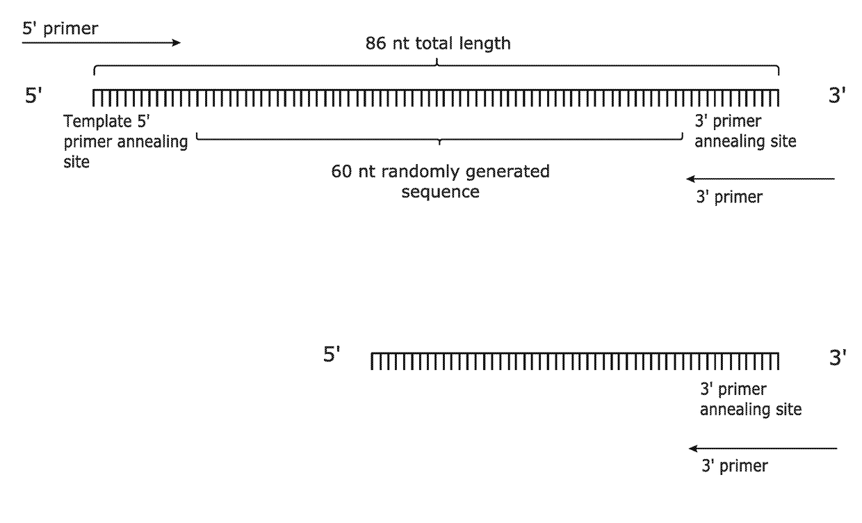 Improvements in and relating to nucleic acid probes and hybridisation methods