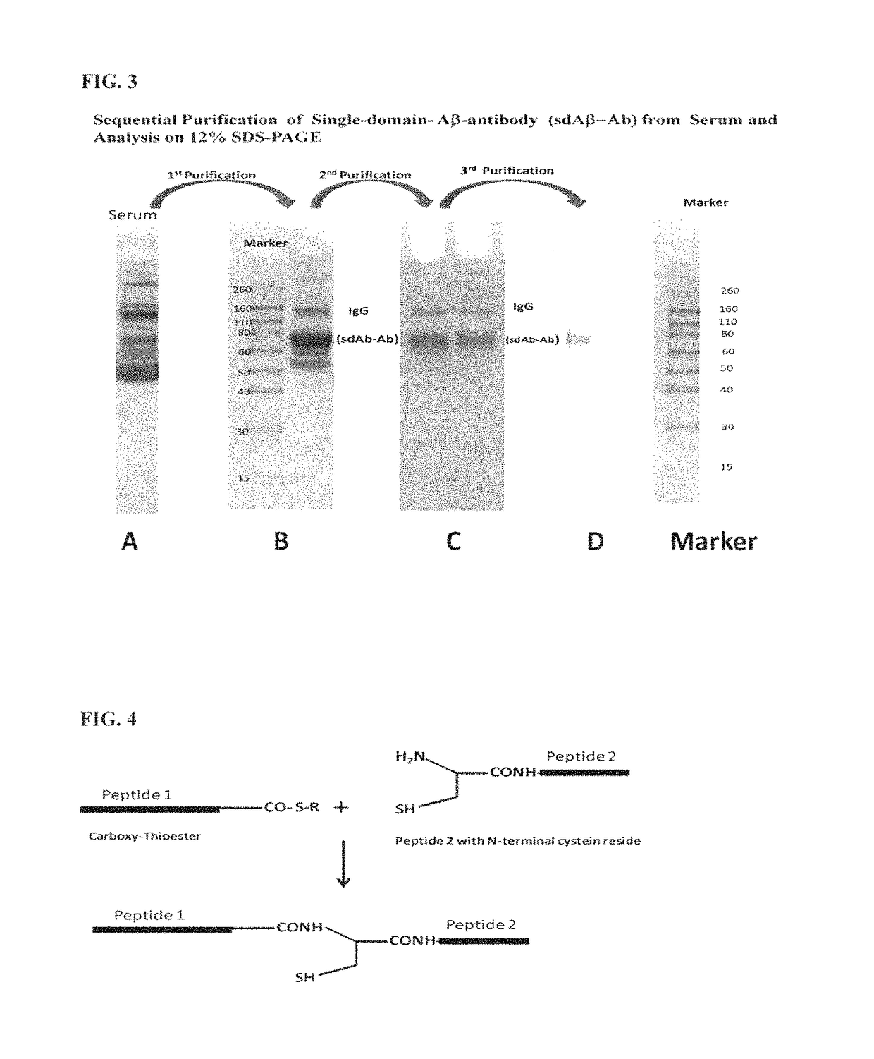 Methods of assessing amyloid-beta peptides in the central nervous system by blood-brain barrier permeable peptide compositions comprising a vab domain of a camelid single domain heavy chain antibody against an anti-amyloid-beta peptide