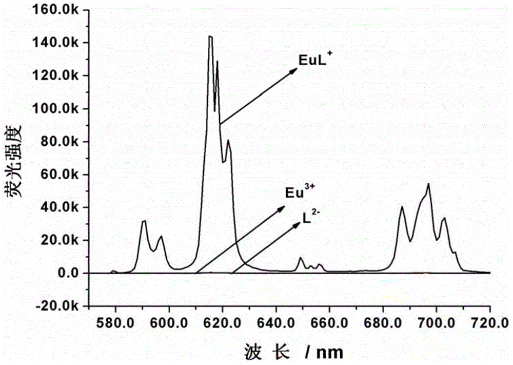 Amphiphilic Eu (III) complex, preparation method thereof and application thereof in sensing identification of citric acid/isocitric acid