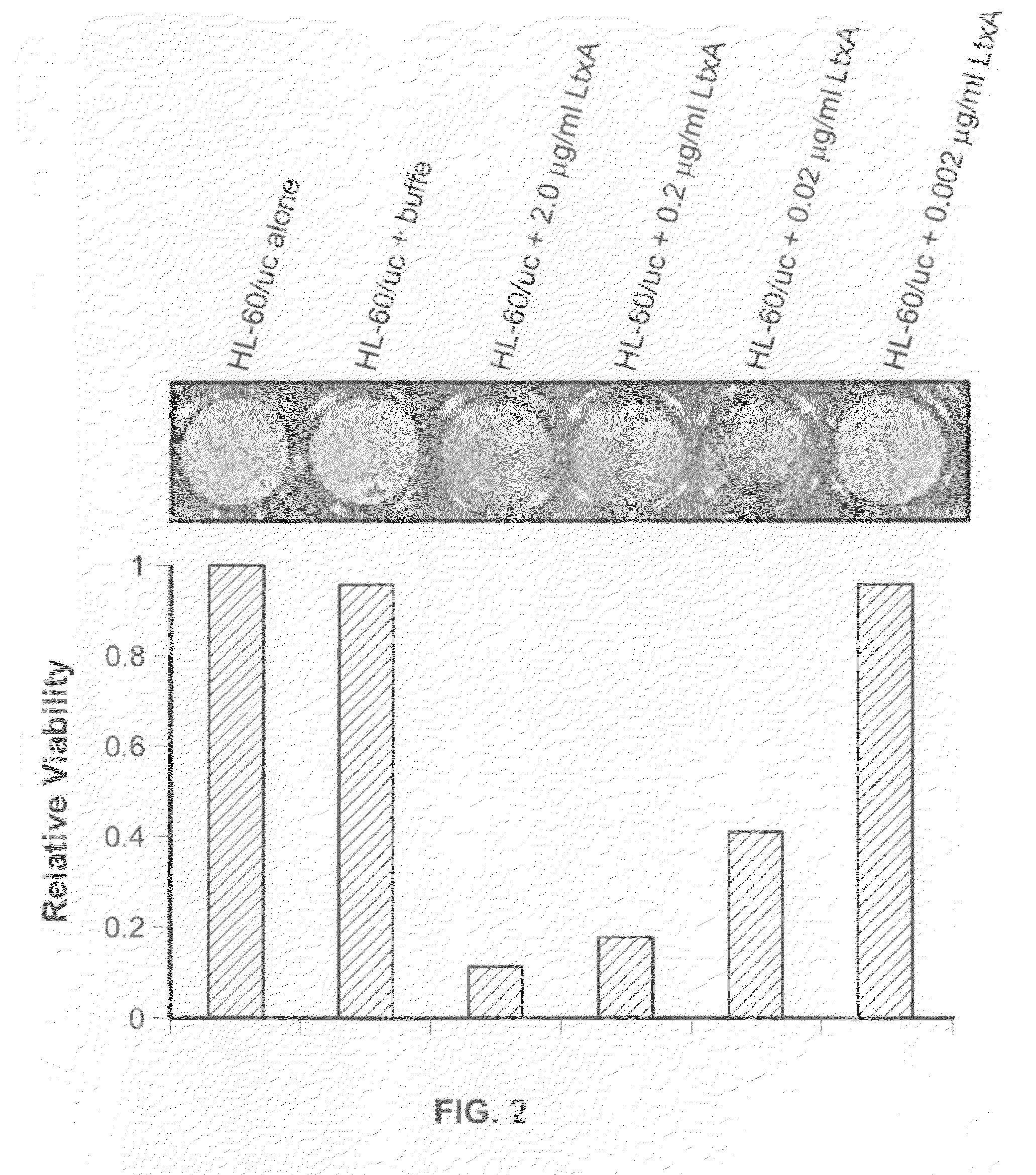 Compositions for the treatment of cancer, and methods for testing and using the same