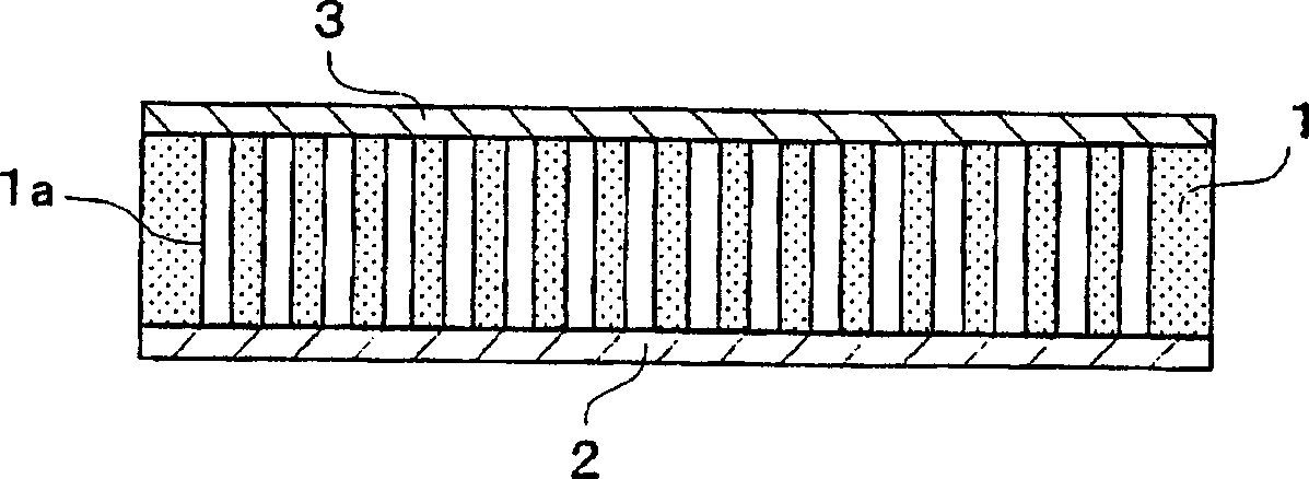 Electron source device and display