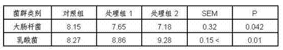 Feed for meat ducks aged 0-21 days and preparation method thereof