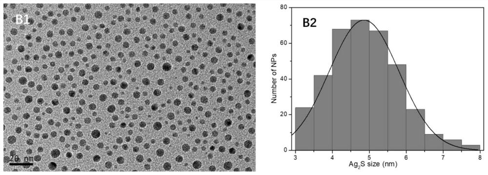 A method for preparing titanium dioxide tube-based composite material by biological method