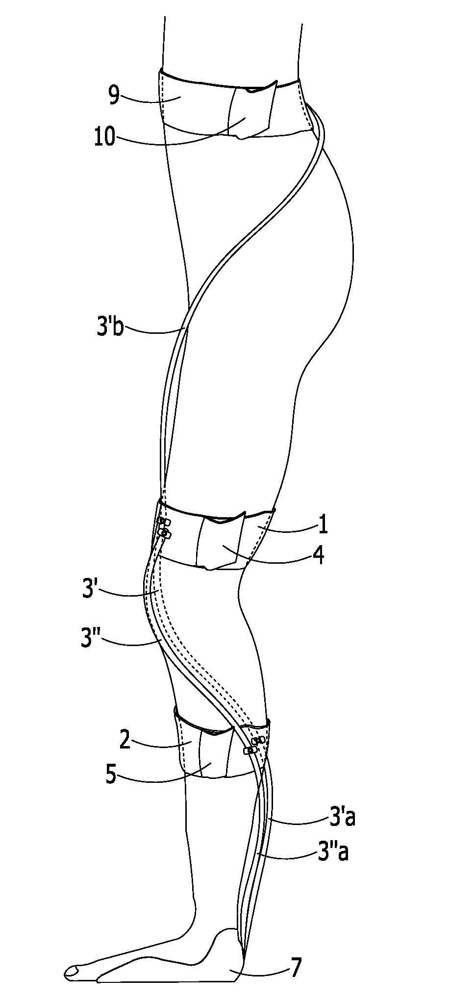 Brace for dynamically correcting the bending of the joints of the lower limb