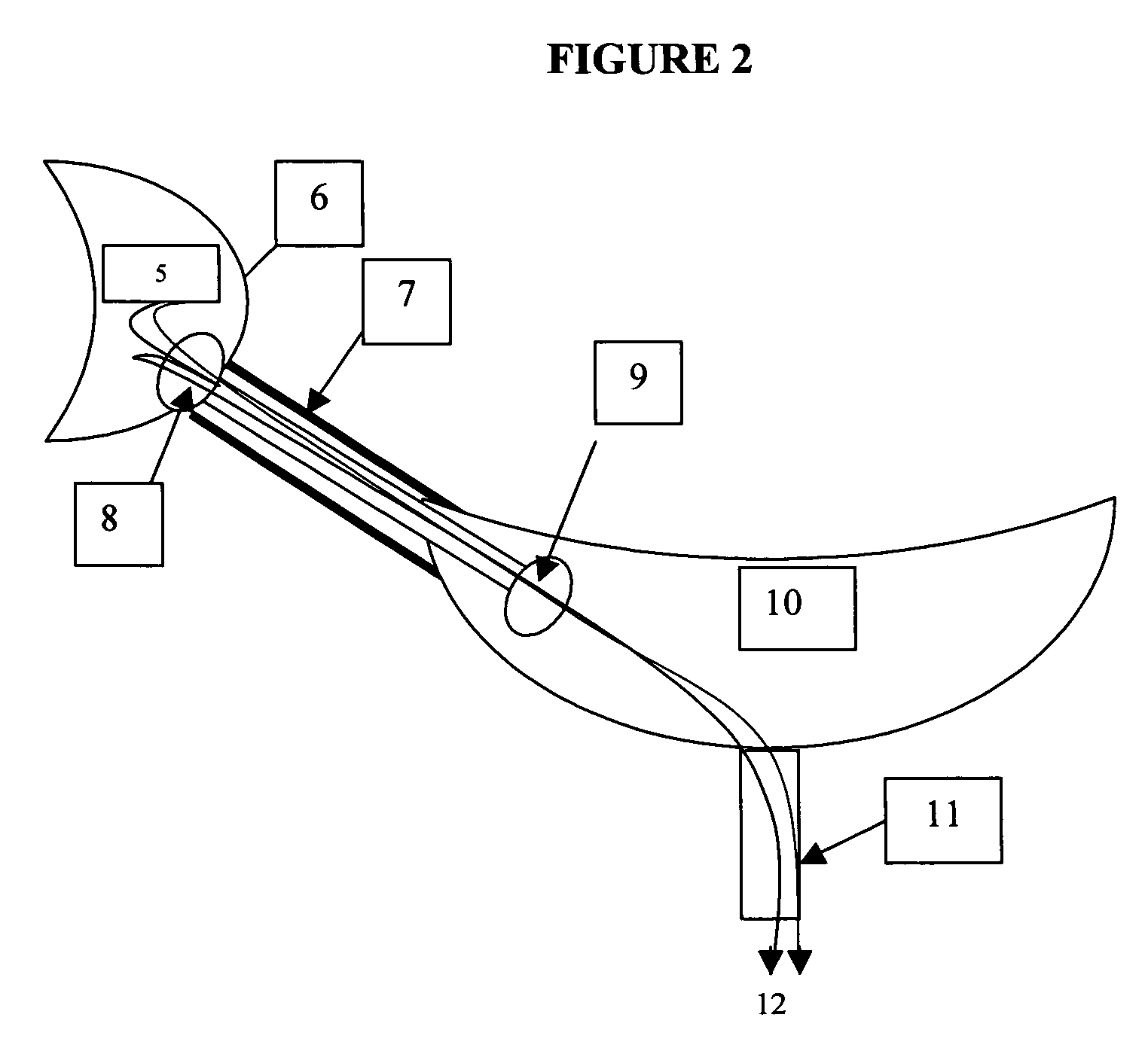 Structural hydrogel polymer device