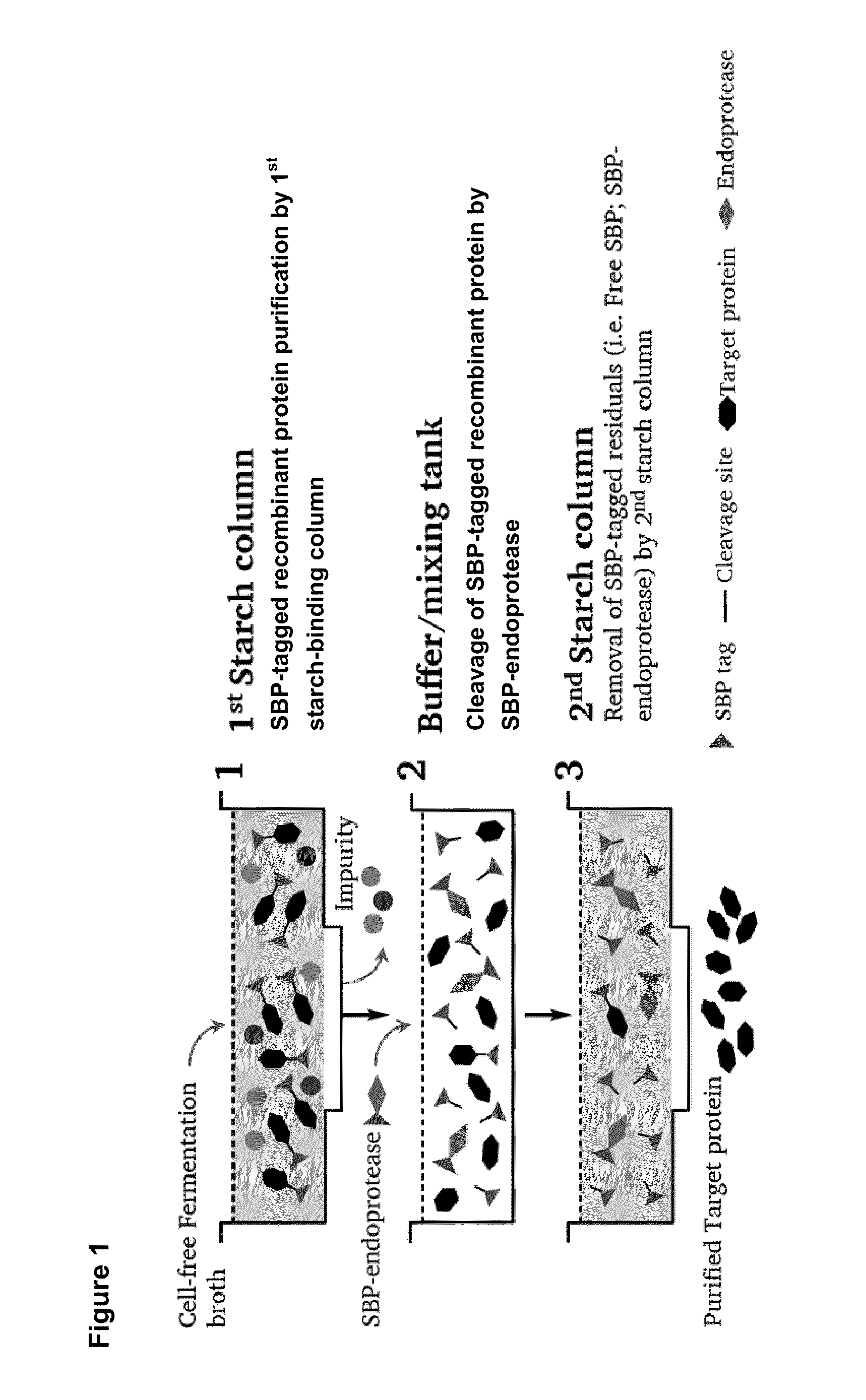 Method and system for protein purification