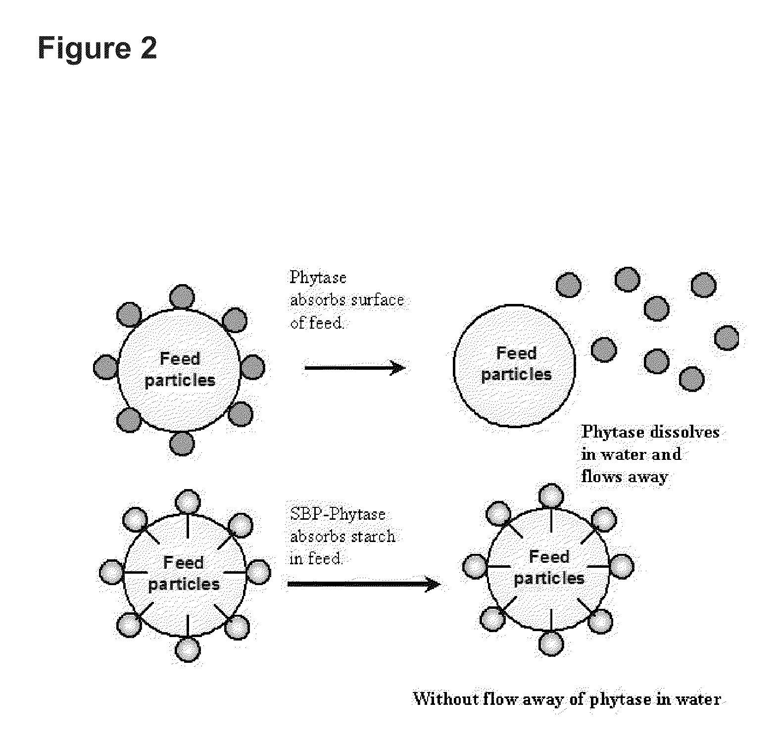 Method and system for protein purification