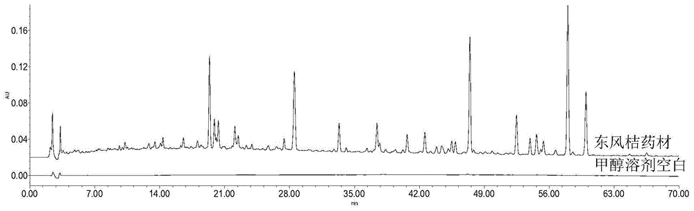 Construction method and detection method of fingerprint of Dongfeng orange medicinal material