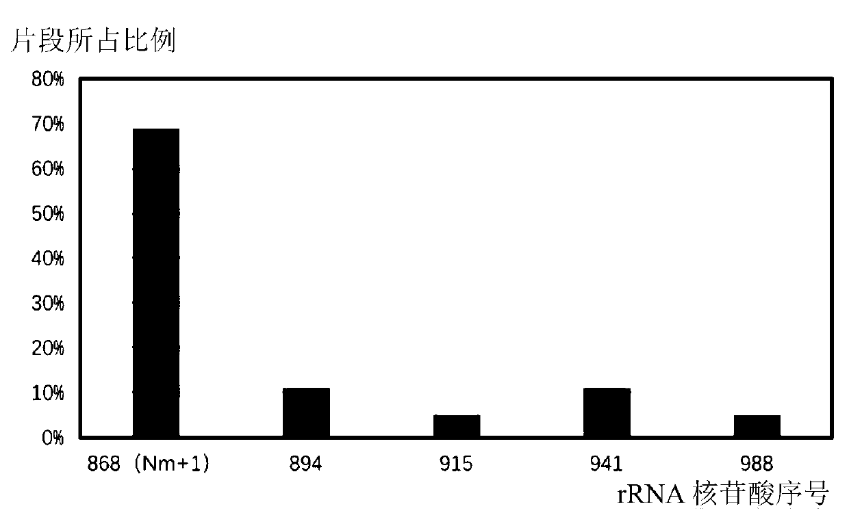 Method for identifying 2'-O-methylation modification in RNA molecules and application thereof