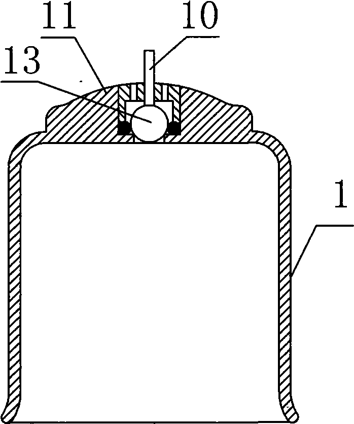 Split capsule type cupping device