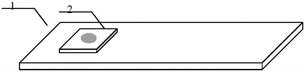 Manufacture method and manufacture device for plastic surface-enhancing Raman chip