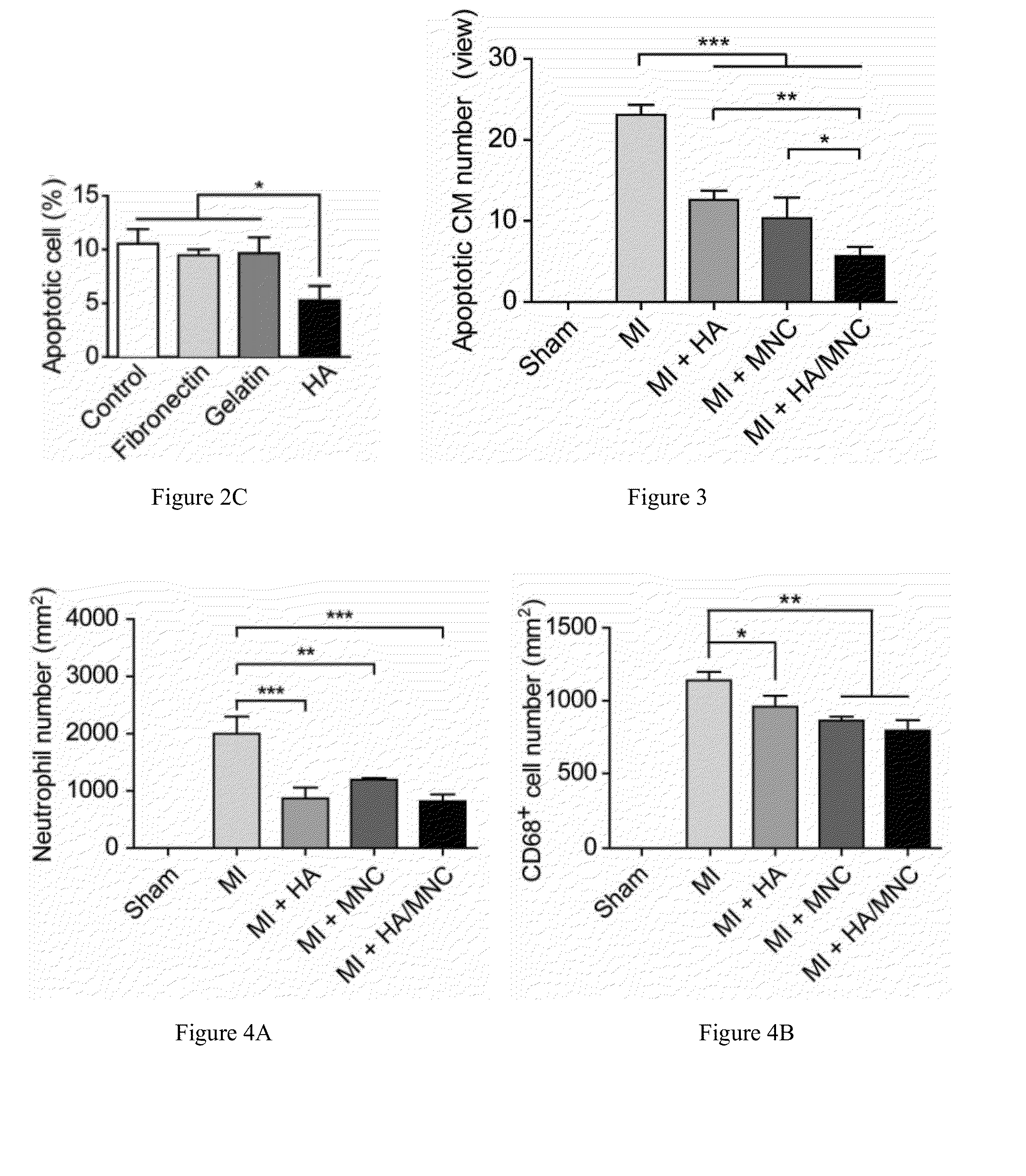 Methods and Compositions Comprising Hyaluronan for Enhancing Bone Marrow Cell Therapy