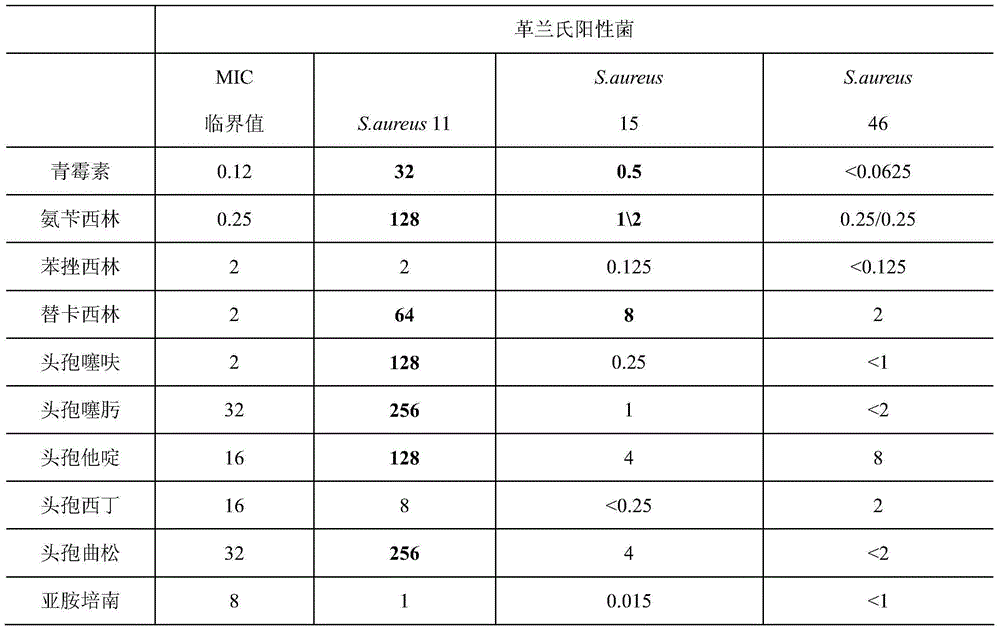 Application of five myxobacteria to predation of drug-resistance bacteria and preparation of drug-resistance bacteria suppression drugs