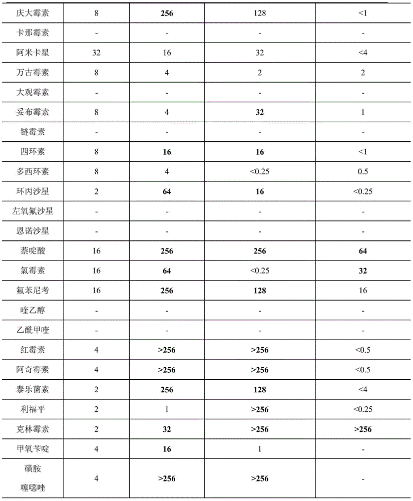 Application of five myxobacteria to predation of drug-resistance bacteria and preparation of drug-resistance bacteria suppression drugs