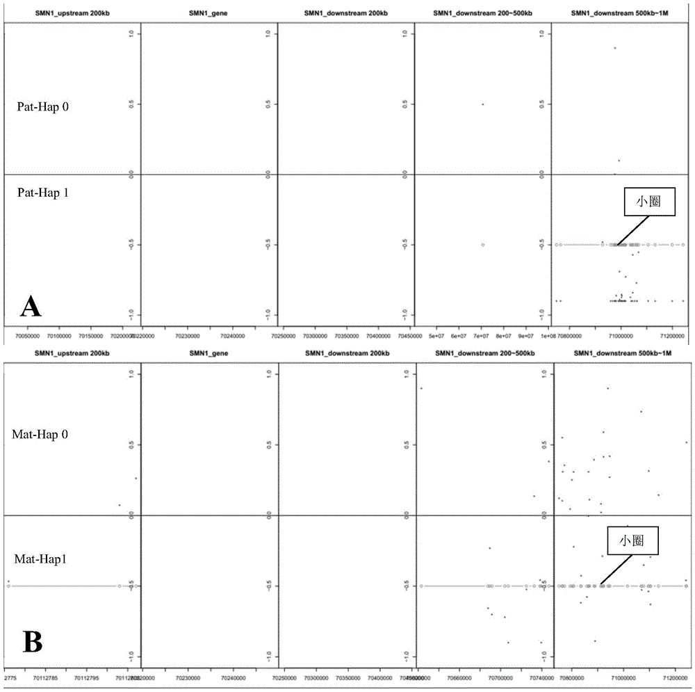 Method and apparatus for determining fetus target area haplotype