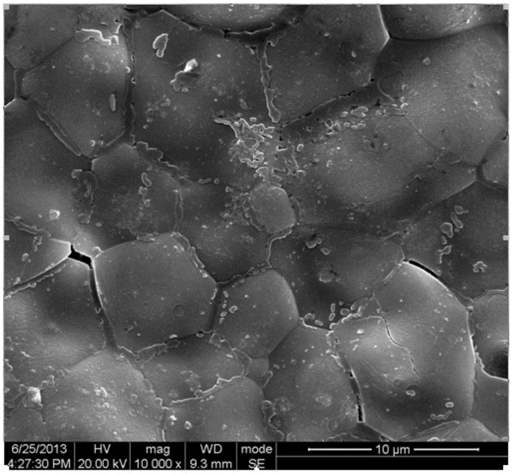 A kind of bioactive glass-ceramic material and its preparation method and application in oral care products