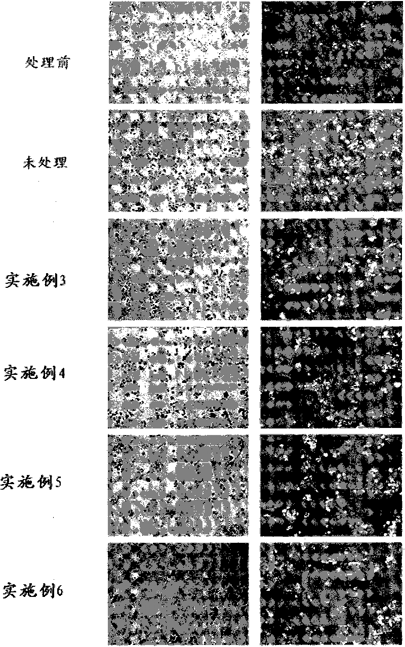 Pharmaceutical composition for preventing and treating cancer and health food containing the same for preventing and treating cancer