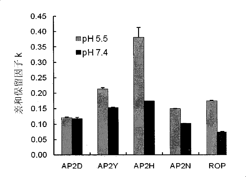 Polypeptide for detecting human cancer cells, and application thereof