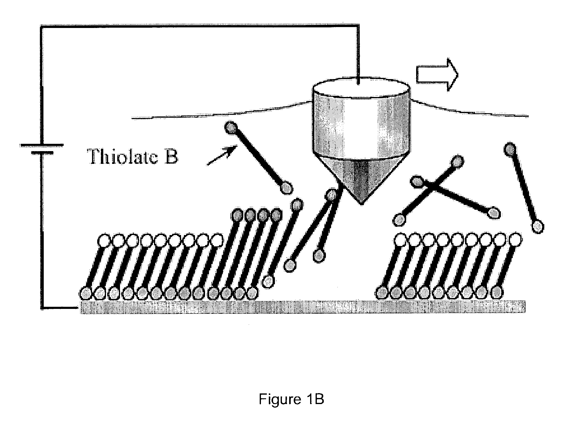 Gradient fabrication to direct transport on a surface