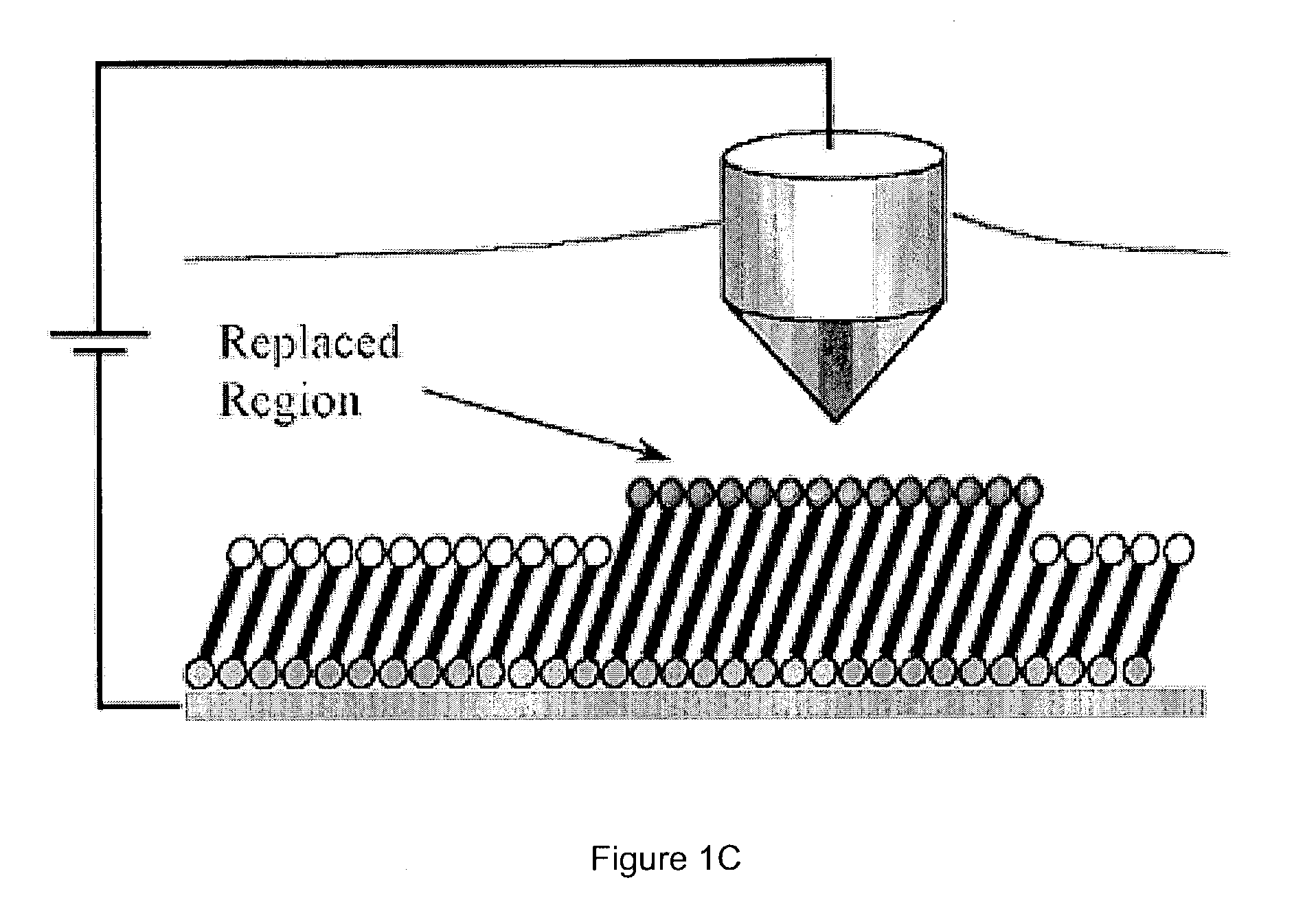 Gradient fabrication to direct transport on a surface