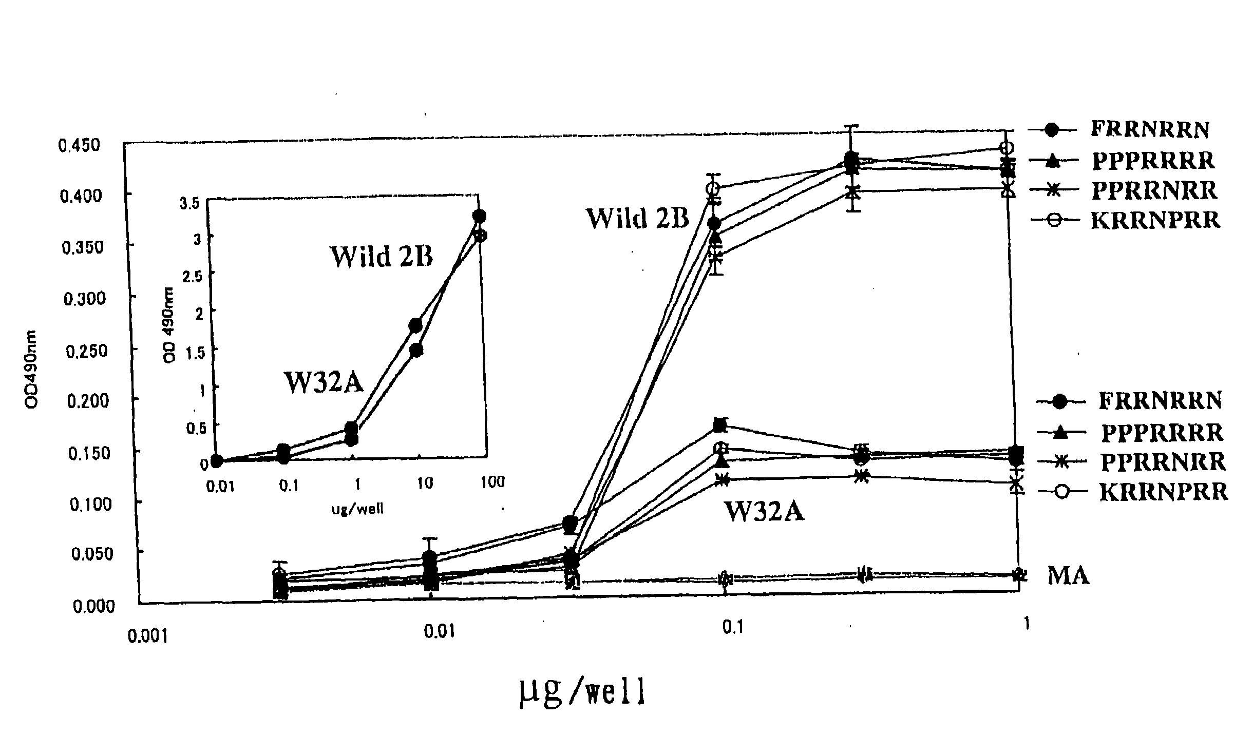 Method For Screening Toxin Neutralizing Peptide, STX2 Inhibiting Peptide And Verotoxin Neutralizing Agent
