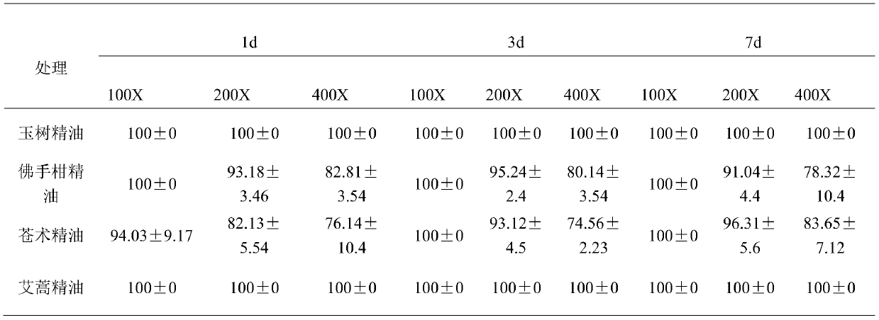 Application of bergamot essential oil in tea geometrid control