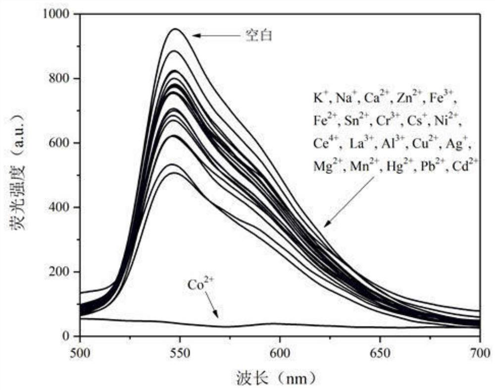 Pyridazino quinoxaline diamine Schiff base cobalt ion fluorescent probe and preparation method thereof