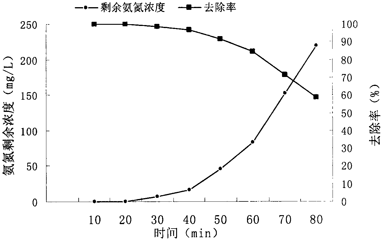 Modified zeolite ammonia nitrogen adsorbent and application and regeneration method thereof
