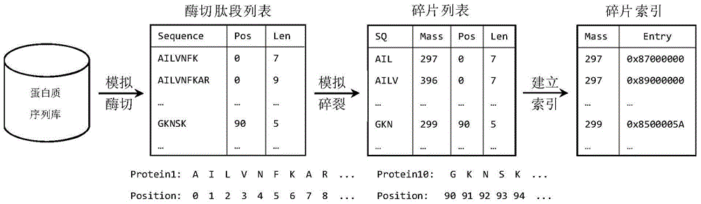 Crosslinking dipeptide rapid identification method