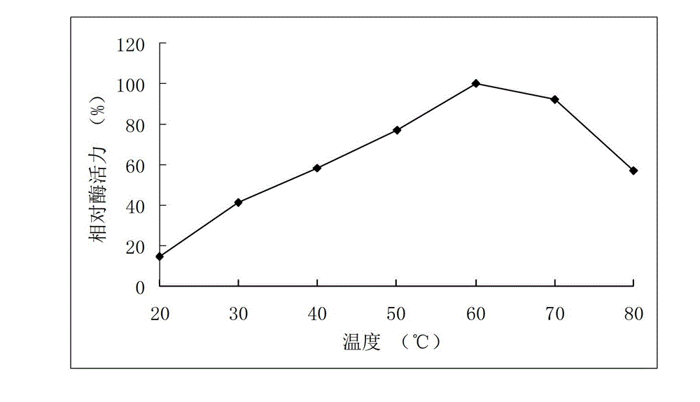 High-temperature resistance arabinfuranosidease Abf51B8, as well as gene and application thereof