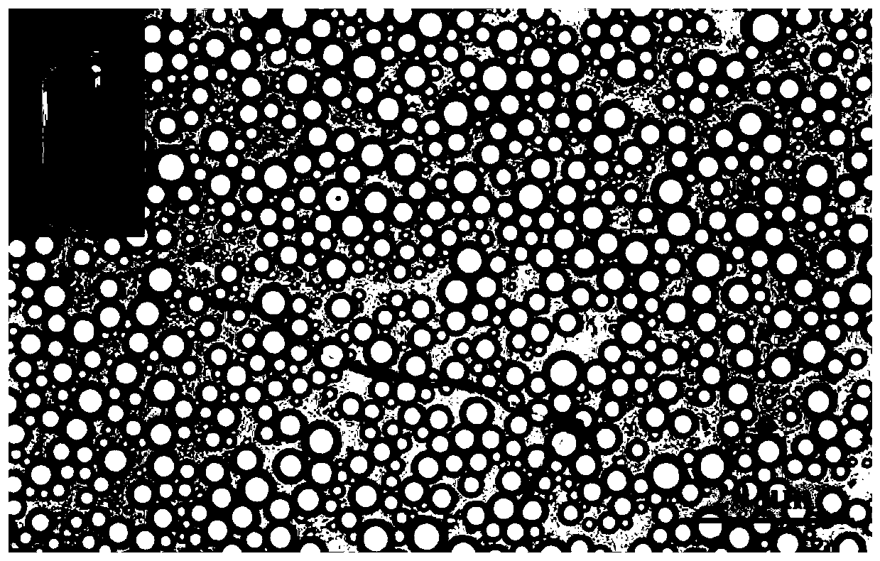 Jatropha curcas source environment disinfectant and preparation method thereof