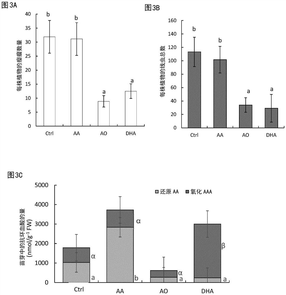 Use of dehydroascorbic acid against nematode infection in plants