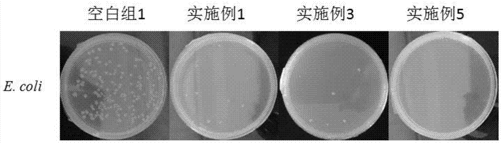 A kind of antibacterial ultrafiltration membrane and its preparation method and membrane regeneration method