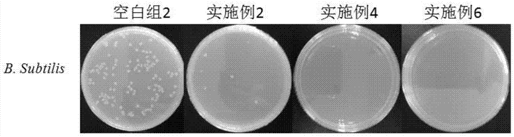 A kind of antibacterial ultrafiltration membrane and its preparation method and membrane regeneration method