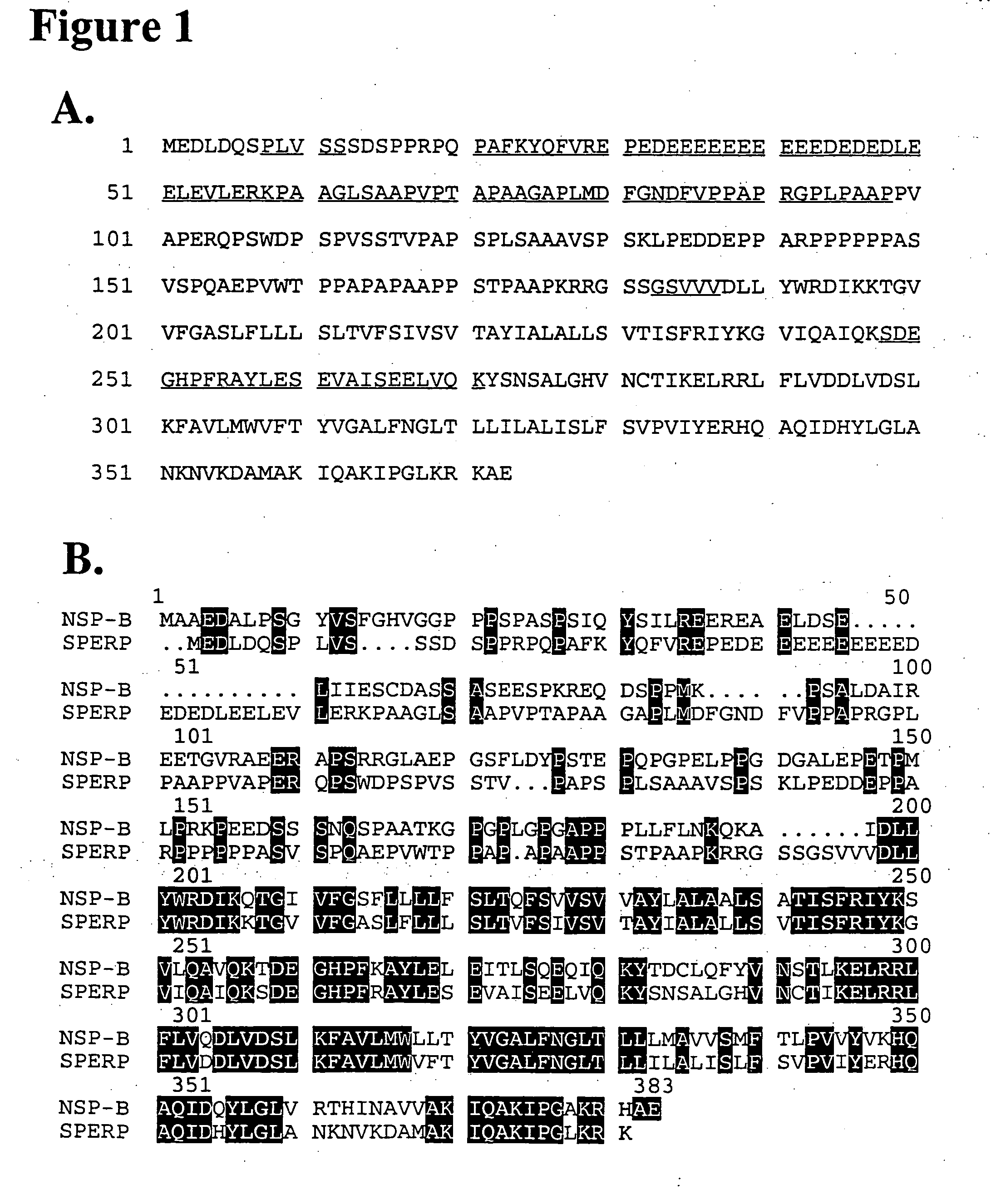 Novel protein associated with cell stress response