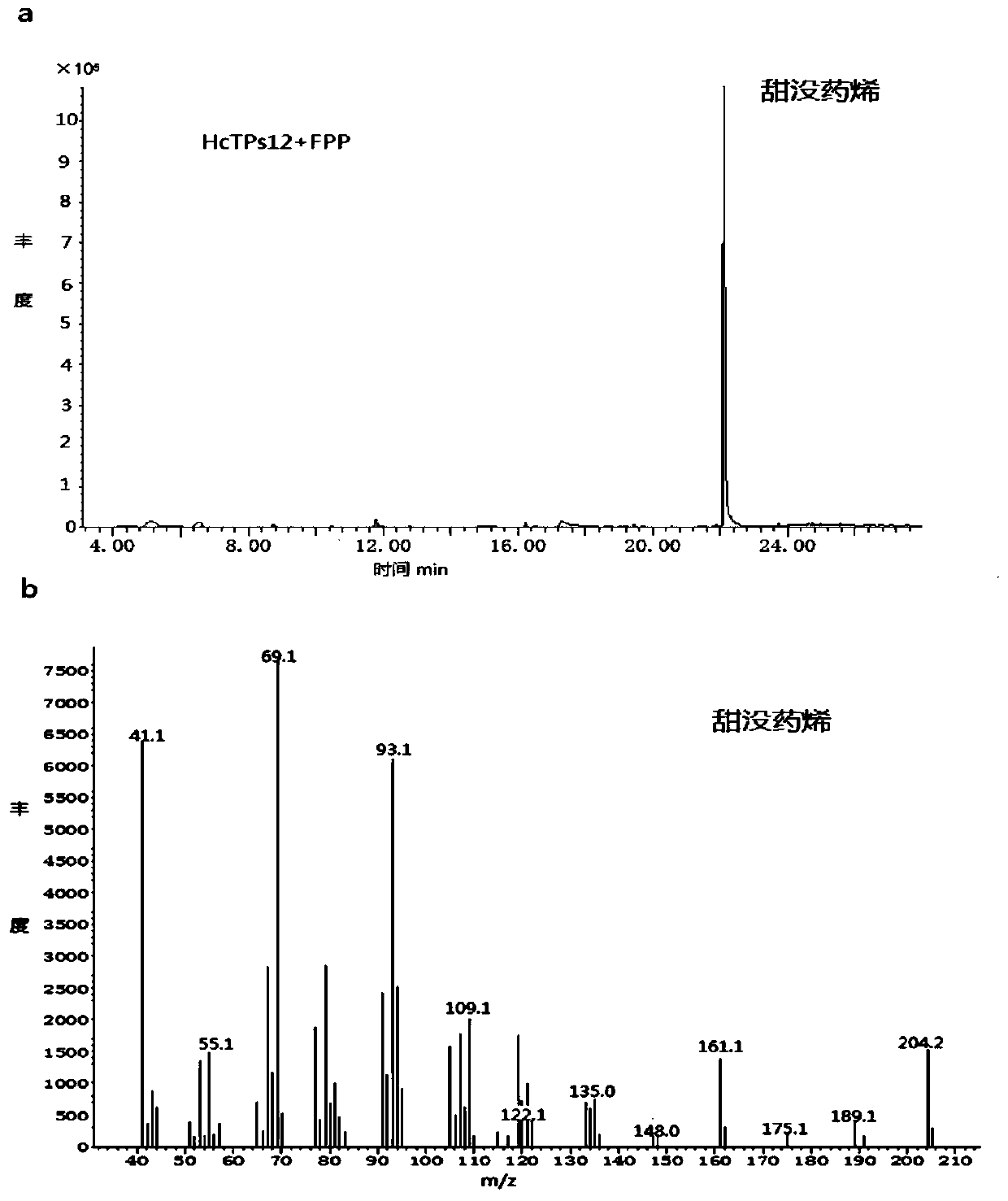 Garland-flower sesquiterpene synthetase gene HcTPS12 and application thereof