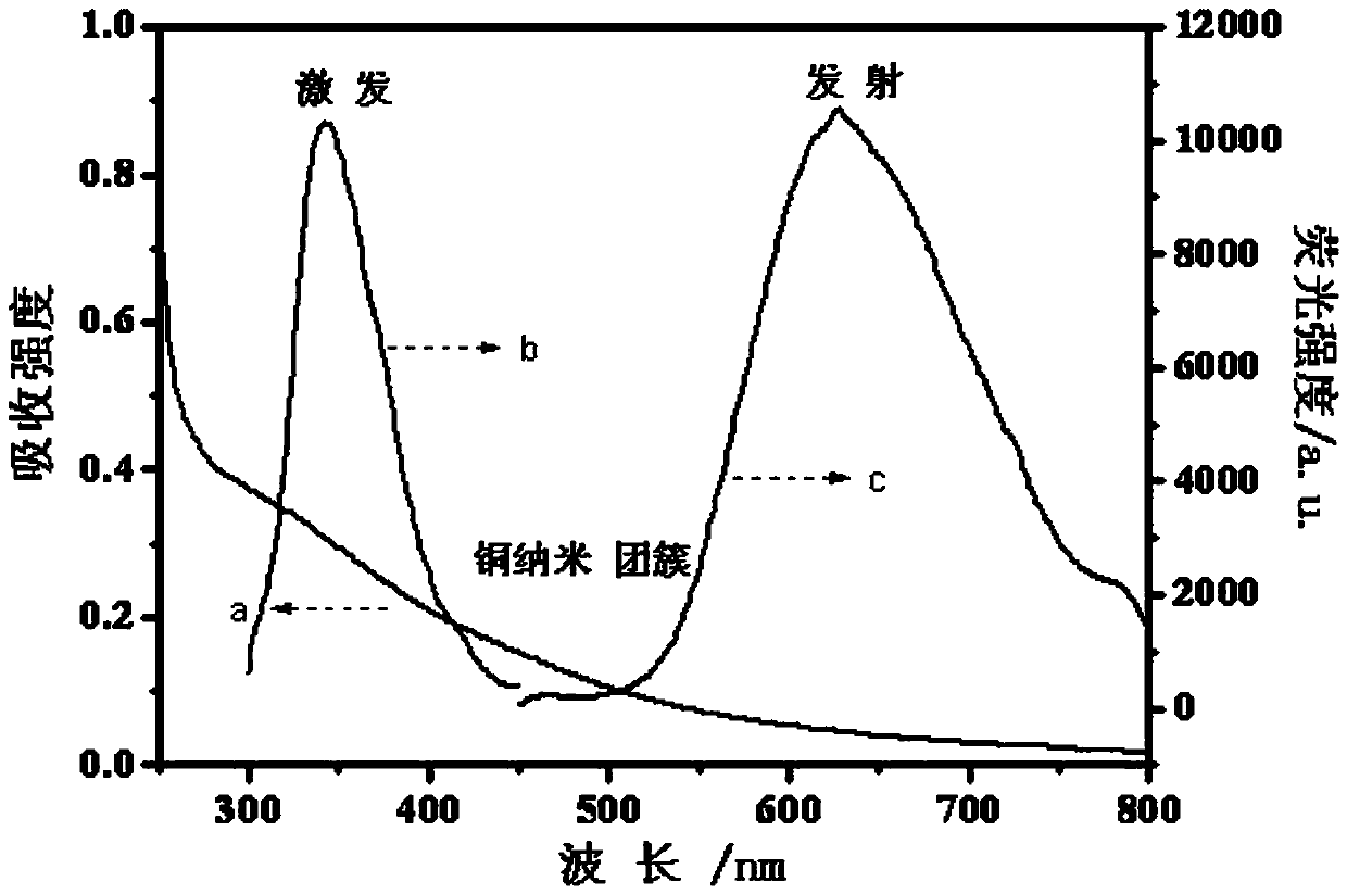 Water-soluble copper nano fluorescent probe as well as preparation method and application thereof