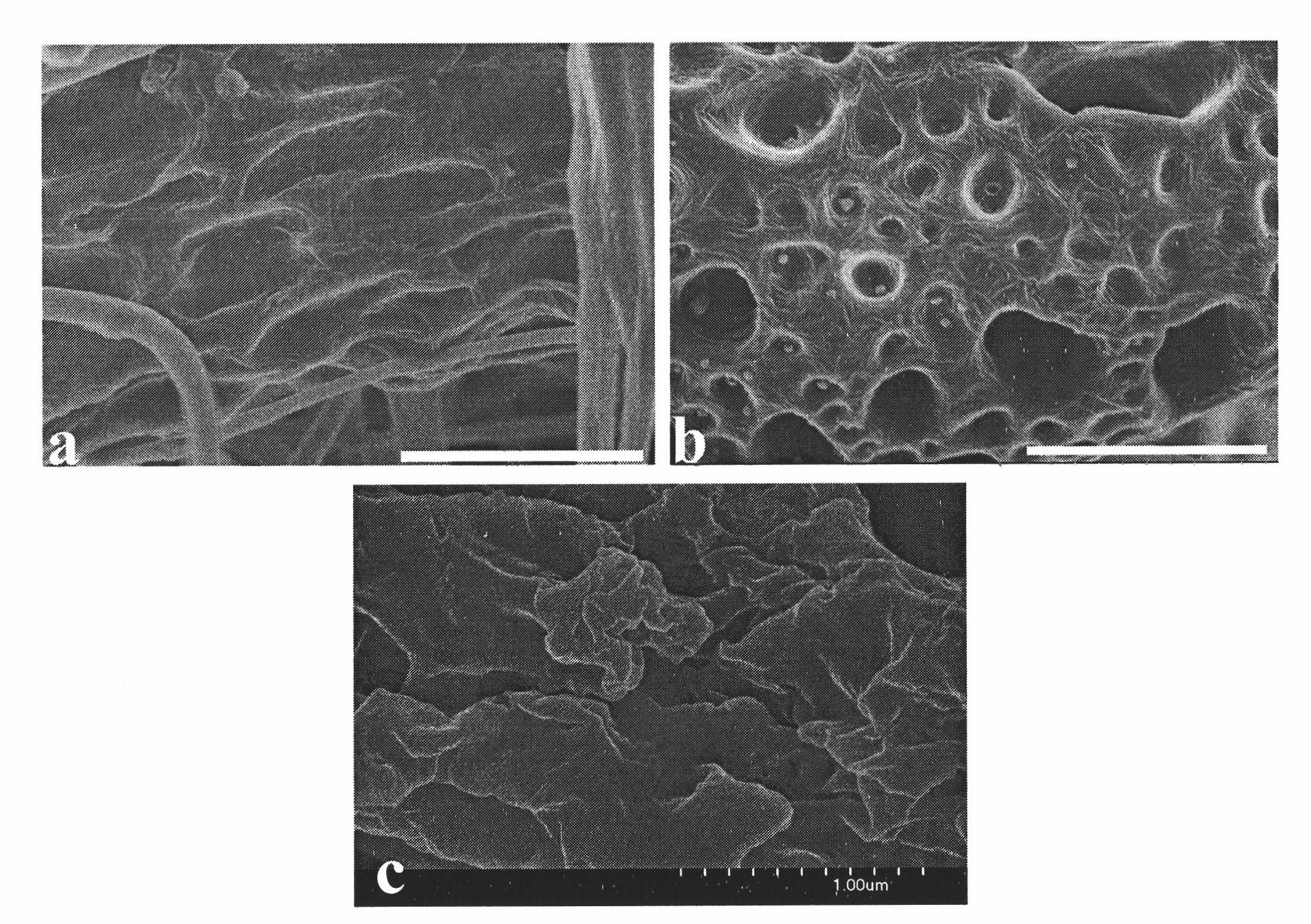 Preparation of porosity electrospun fiber